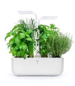 Indoor Moestuin Véritable® CLASSIC